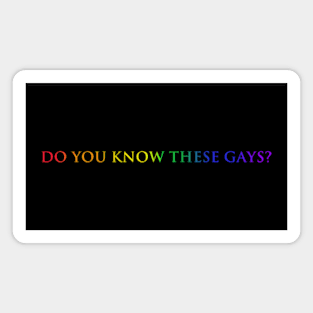 Do you know these Gays? (rainbow) Magnet